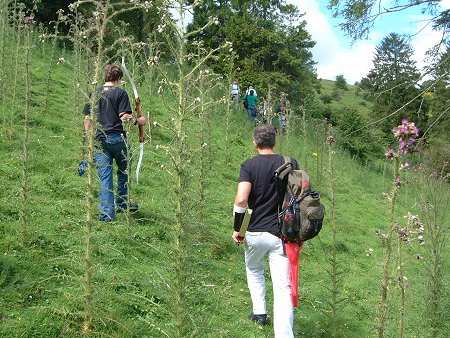 2 metre high thistles